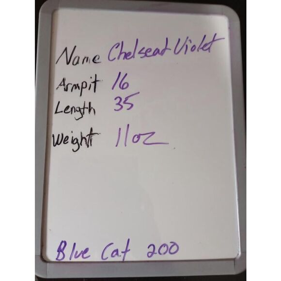 Chelsea & Violet Dress Ladies Medium Blue Lace Sleeveless - Picture 8 of 8